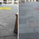 Verona, piazza dei Signori ha una nuova pavimentazione.