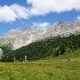 Stagione estiva a Obereggen con molti visitatori villafranchesi