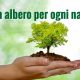 “Un albero per ogni nato”: sarà piantato un albero per ogni bimbo veronese nato nel biennio 2019/2020.