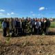 Prima sperimentazione in Europa di piante di vite Chardonnay realizzate con Tecnologie di evoluzione assistita (Tea).