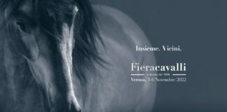 Università di Verona e Fieracavalli presentano i primi risultati del progetto sulle abilità cognitive nel salto ostacoli