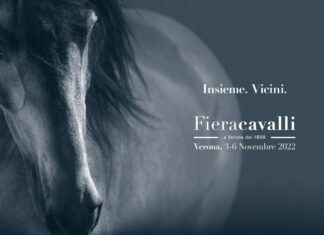 Università di Verona e Fieracavalli presentano i primi risultati del progetto sulle abilità cognitive nel salto ostacoli